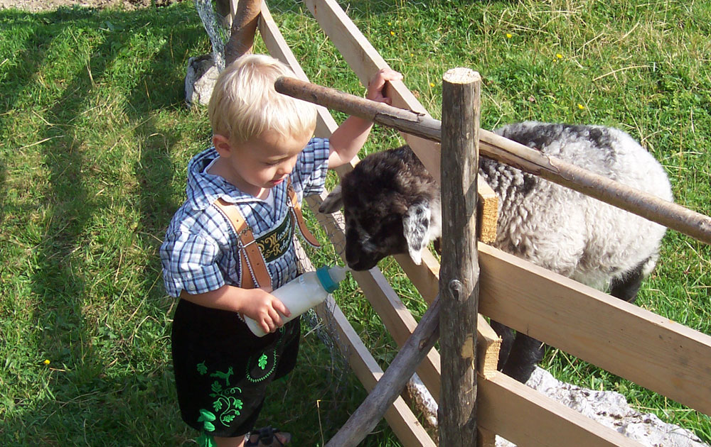 Neue Freunde für die Kinder