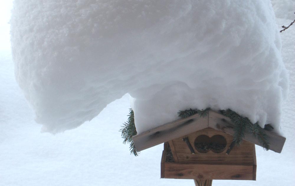 Schnee genug